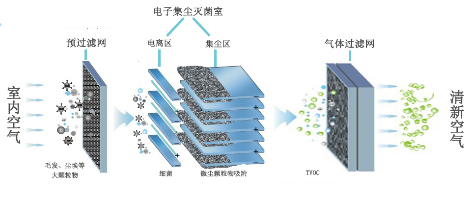 净化原理示意